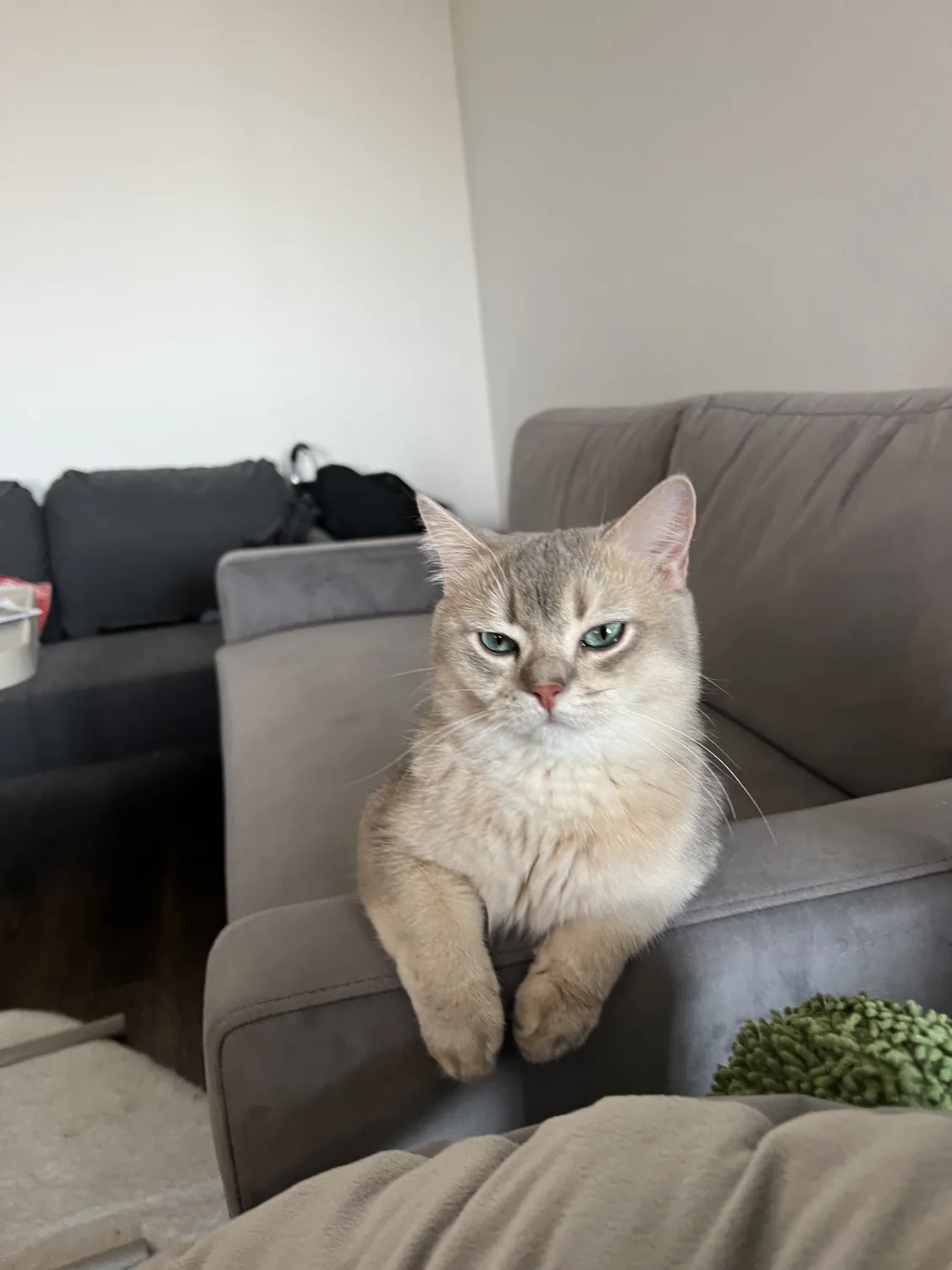小i