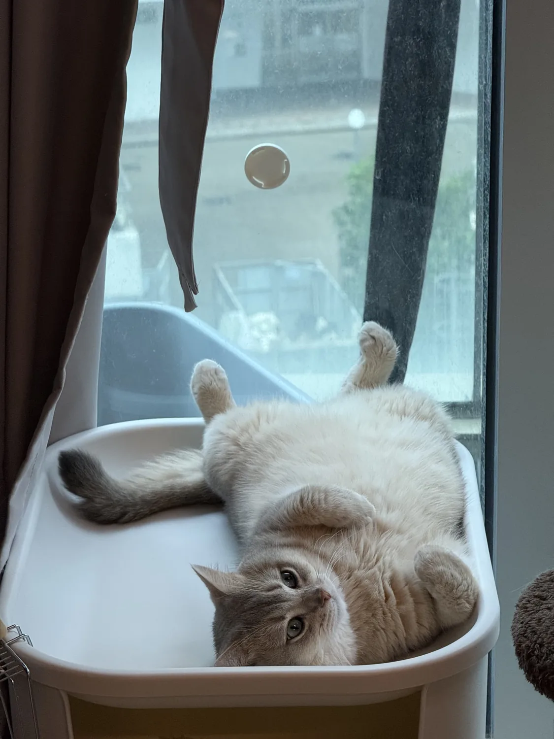 小i